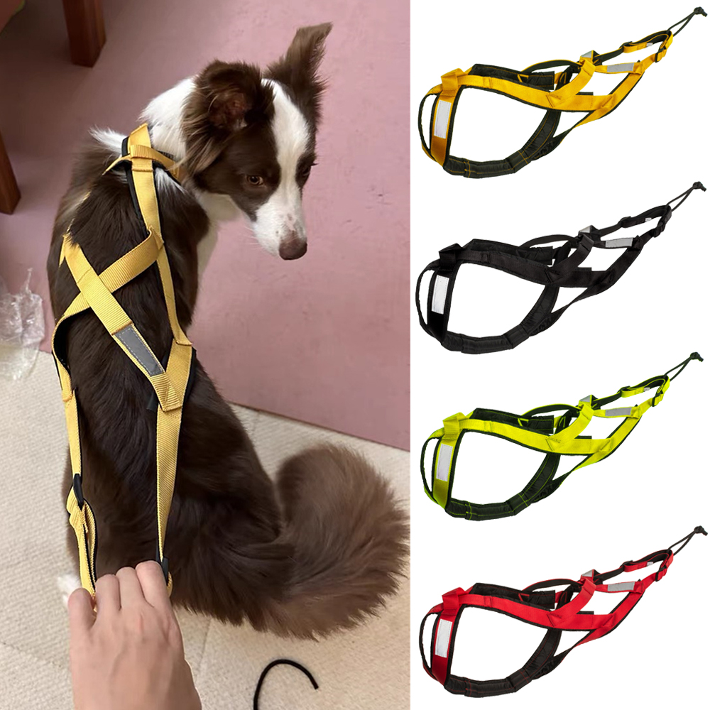 High Quality Big Dog Sledge Ha - đánh giá và giá Reflective Jacket Running